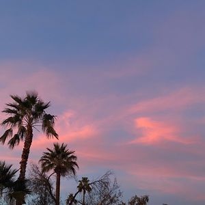 Meet your Posher, Sloane